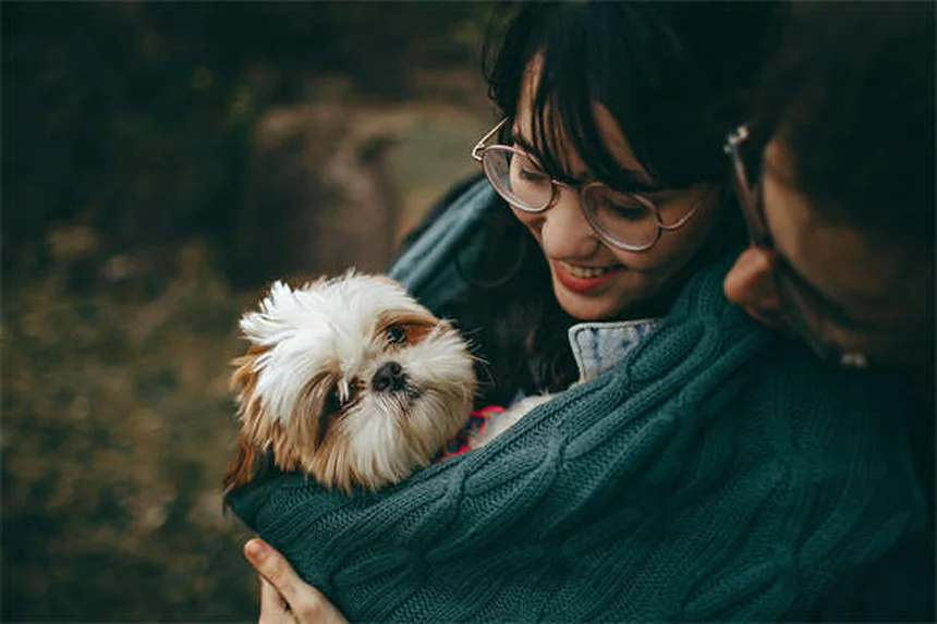 犬のホットスポットの治し方とは？自宅ケアから予防まで獣医推奨の対策